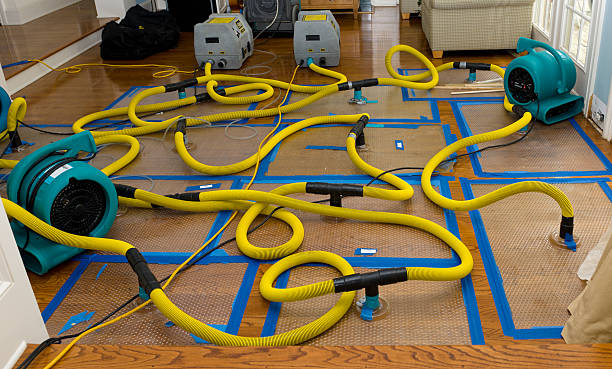 Professional Crawl Space Water Removal technician working in West Dennis, MA
